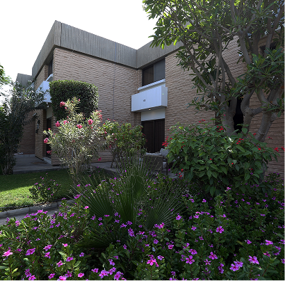 Rectangle 173.png (9)