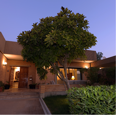 Rectangle 184.png (1)